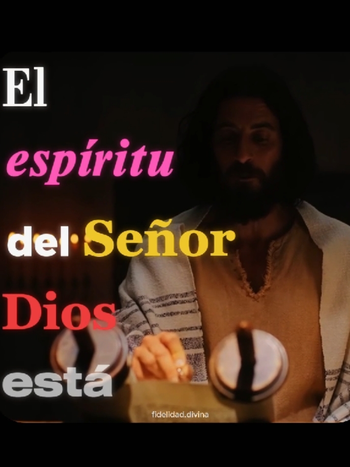 La significado de la navidad es Jesús #dios #jesus #biblia #hopecore #motivacion #paz #navidad #añonuevo #feendios #salvacion #diosesamor #versiculosbiblicos #god #fyp 