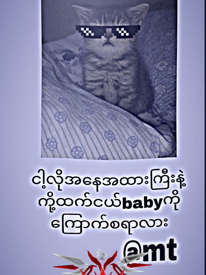 #မြင်ပါများချစ်ကျွမ်း၀င်အောင်လို့ #viewproblem #crdပေးပါသည် @♡မိုင္ႏို🐰🩷♡