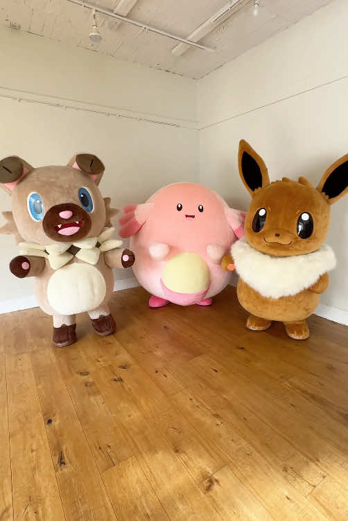 😎🎶✨ #ラッキー #イーブイ #イワンコ #ポケモン #ポケットモンスター #Chansey #Eevee #Rockruff #Pokémon #Pokemon