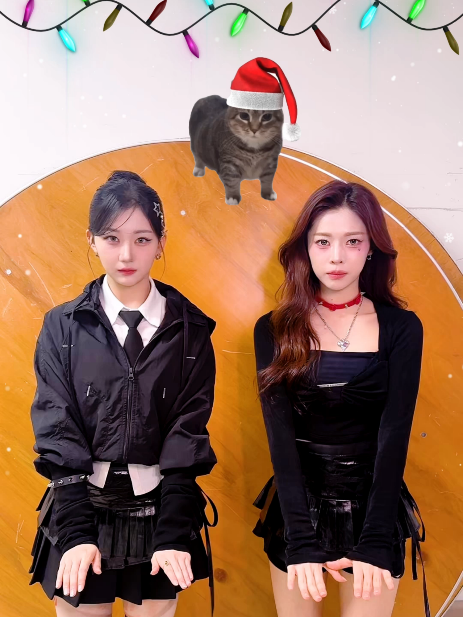 ✭・.・ merry CAT /ᐠ. .ᐟ\ ristmas・.・✫ #tripleS #트리플에스 #トリプルS #トリプルエス #トエス #Kaede #카에데 #カエデ #DaHyun #다현 #ダヒョン