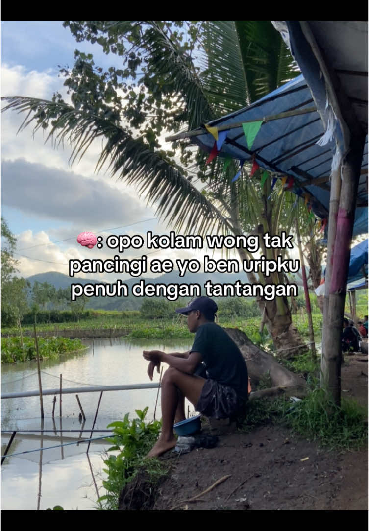 pov: naliko pirikane kncoku pas boncos #storymancing