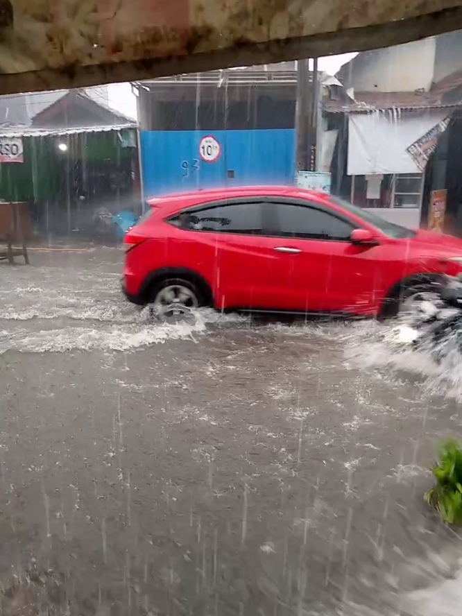 ter 🦖🦖  #banjir #sedinodino #fyp 