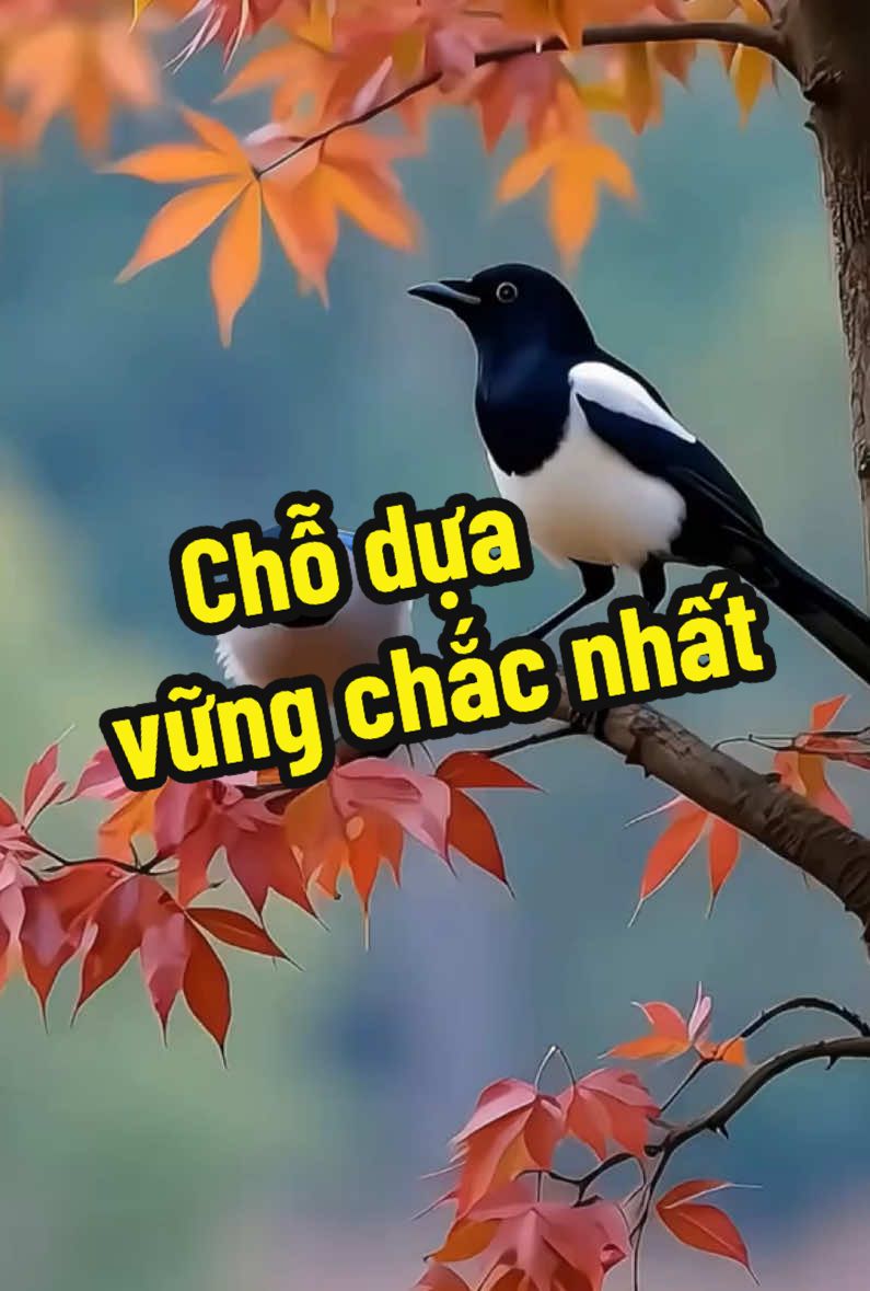 Chỗ dựa vững chắc nhất