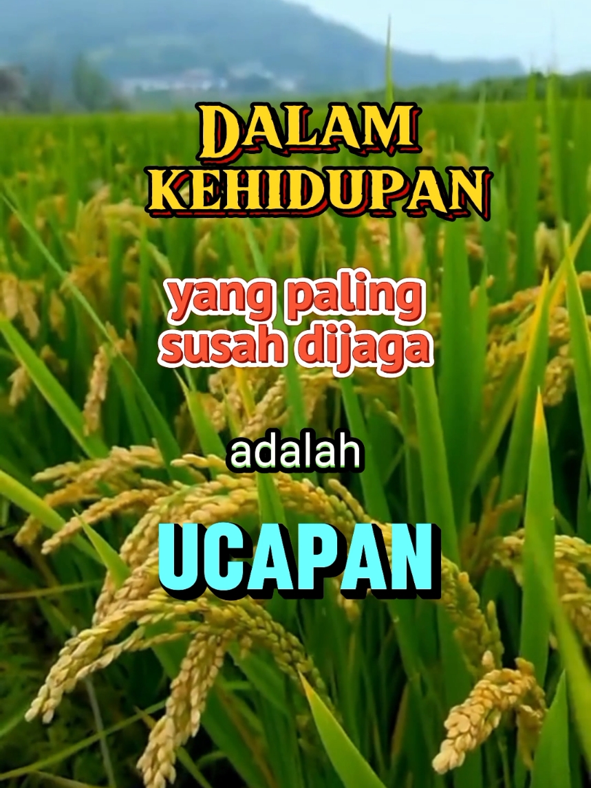 dalam kehidupan #katakatamotivasi #katakatabijak #katakatamutiara #fyp 