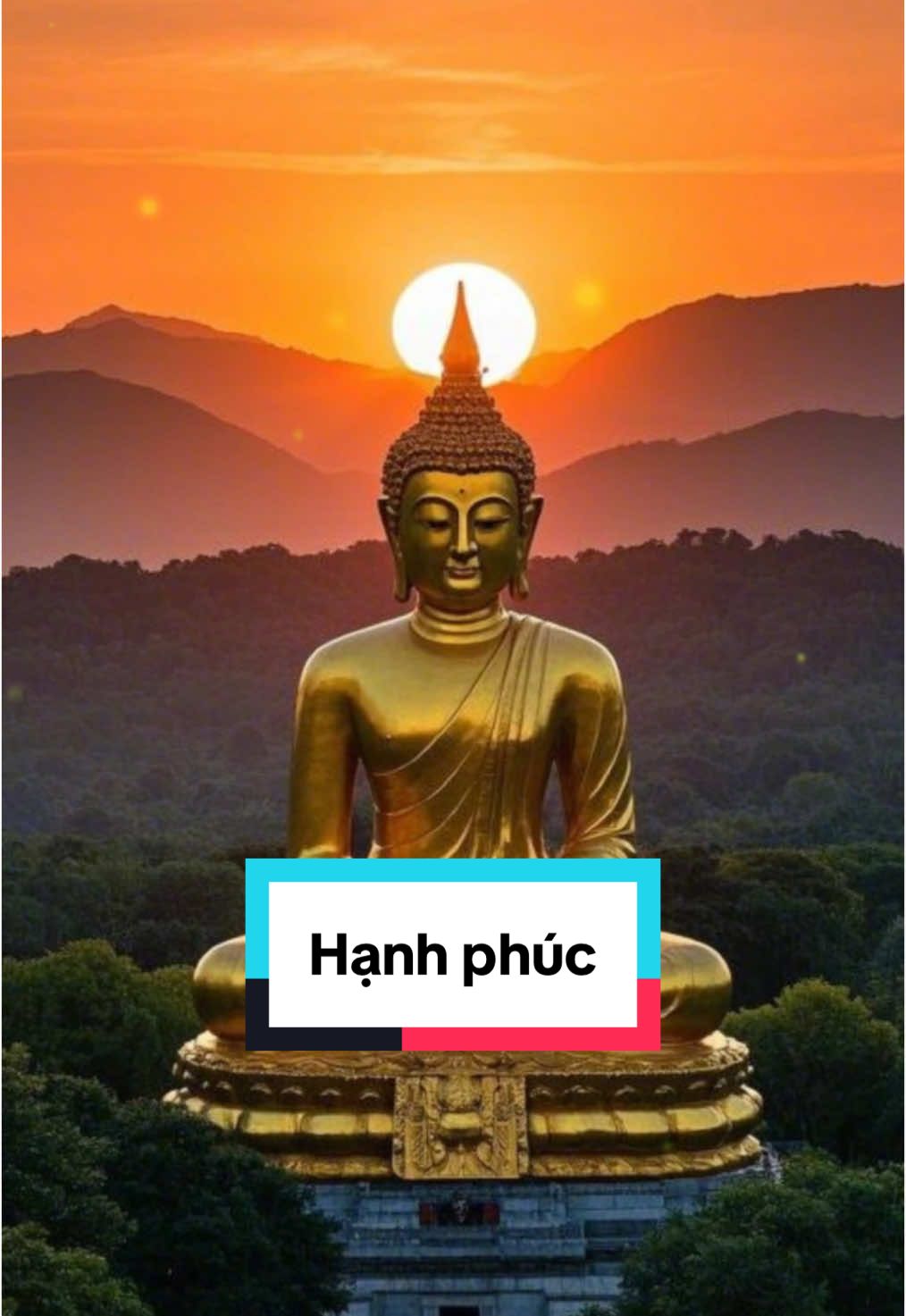 Hạnh phúc #chanhniem108 #phatphapnhiemmau #phatphapvobien #phatphap #hanhphuc 