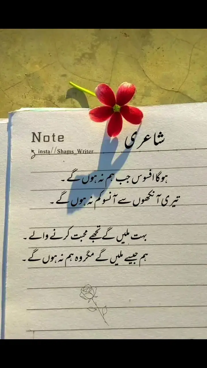 #ہم جیسے ملیں گے مگر وہ ہم نہیں ہوں گے #🥀🤕🤕💔💔🤕🥀🥀🤕🤕💔💔🤕 #vewiosproblum😭 #