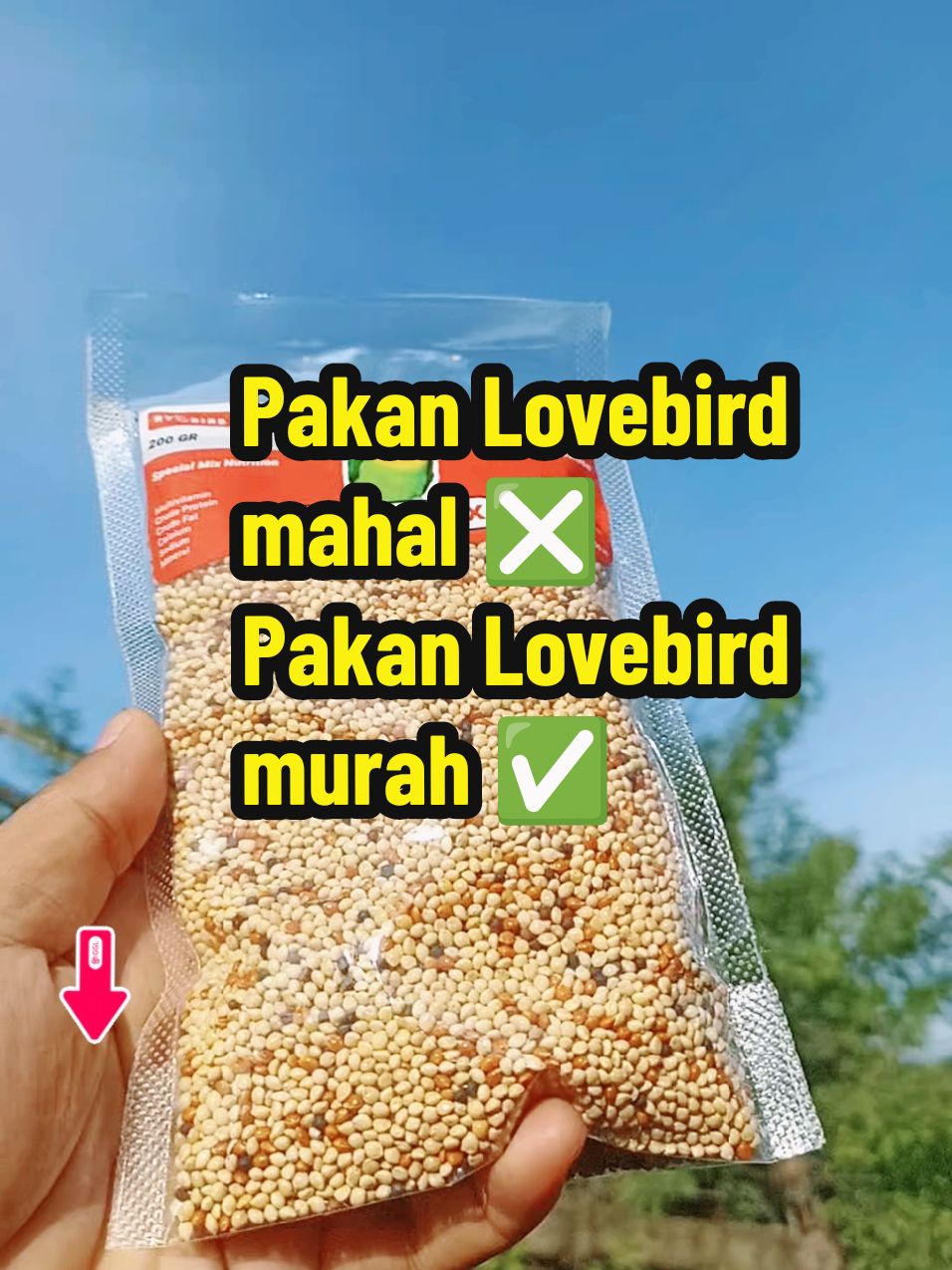 pakan lovebird oil metabolis. buung jadi rajin bunyi, roll ngekek panjang #nutrimixlovebird #nutrimix #ryobird #pakannutrimix #pakanlovebird #pakanburung #pakanburungbijibijian #burunglovebird #lovebird #lovebirdmania #lovebirdngekekpanjang #pakanlovebirdmurah #pakanlovebirdjuara #wibgajian #promoguncang11 #cuantanpabatas #gilagilajualan #yearandsale #kicaumania #kicaumaniaindonesia #kicaumanianusantara 