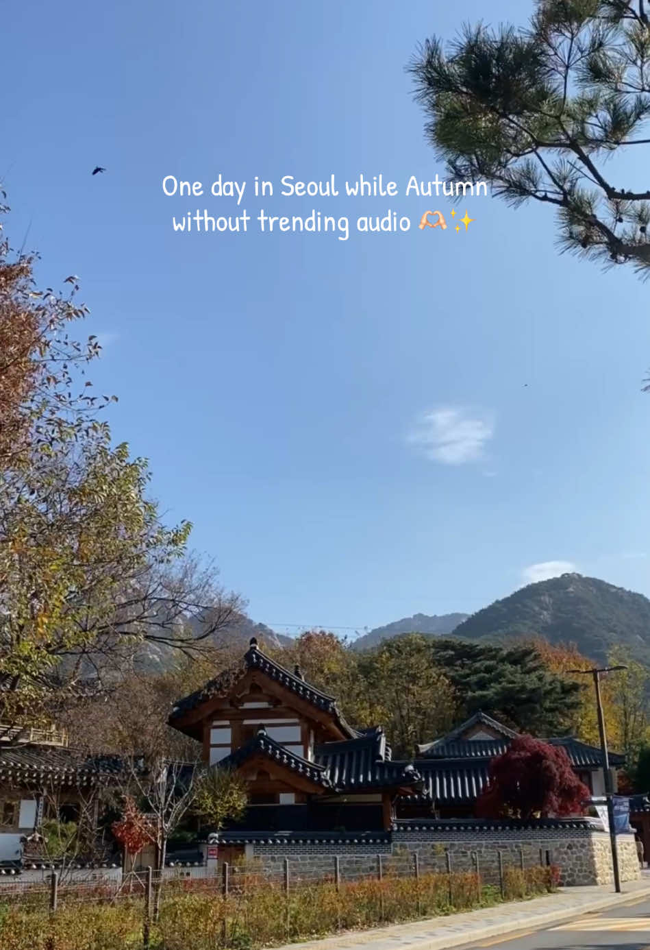 Sound of autumn in Seoul 🤍✨ See you another autumn in Seoul again oneday 🥹🥰✨ #seoul #autumninseoul #soundofautumn #seoultravel 