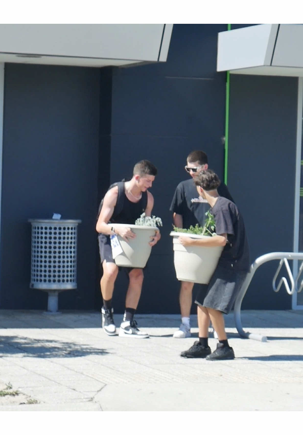 The concrete pot plant prank… #fyp 