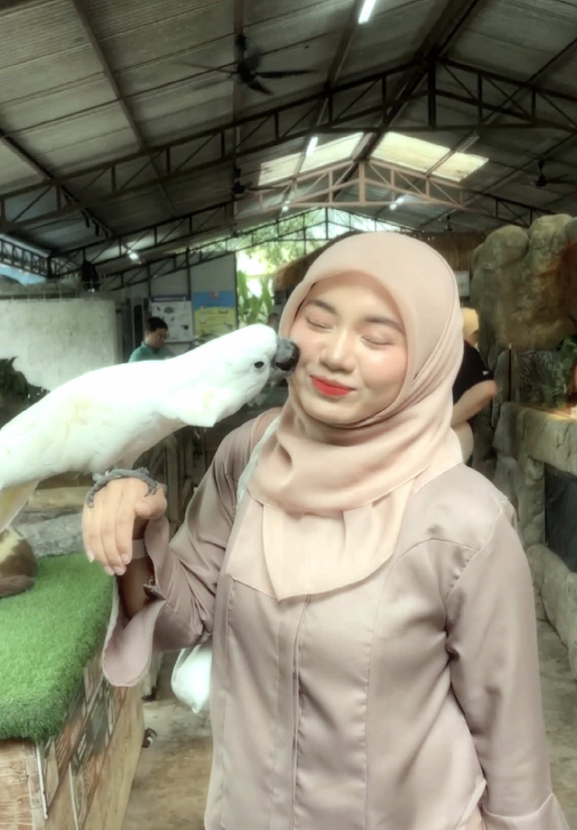 comel nye Tom 🥺 #farminthecity @Farm In The City Malaysia 