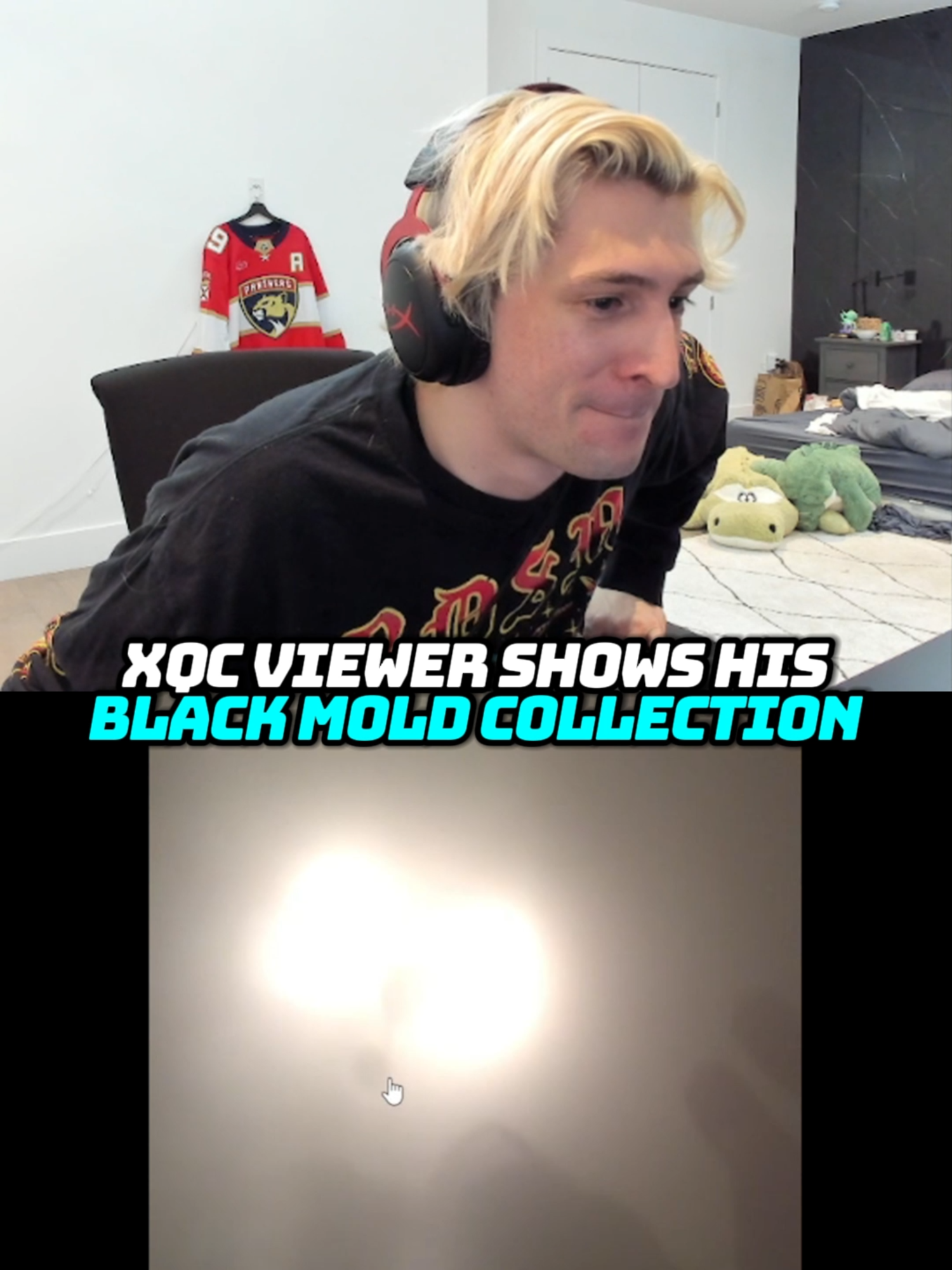 NAH BLACK MOLD IS CRAZY #xqc #blackmold #mold