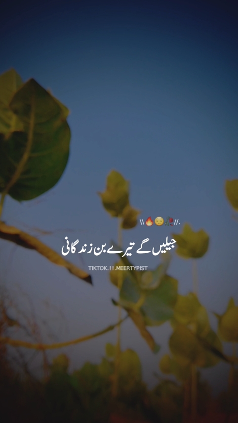 jee lenge tere bin zindgani #foryou #trending #viralvideo #meertypist #songstatus #viral_video #grow #account #tiktok #trend #viralvideo 