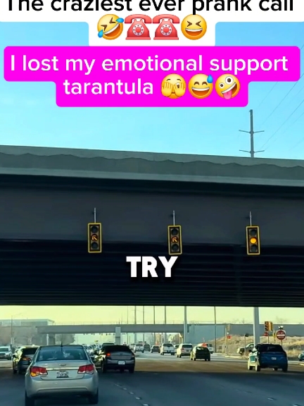 I lost my emotional support tarantula 😱🤣🤪 #prankcall #prank #funnyy #phonecall #fyp #funny 