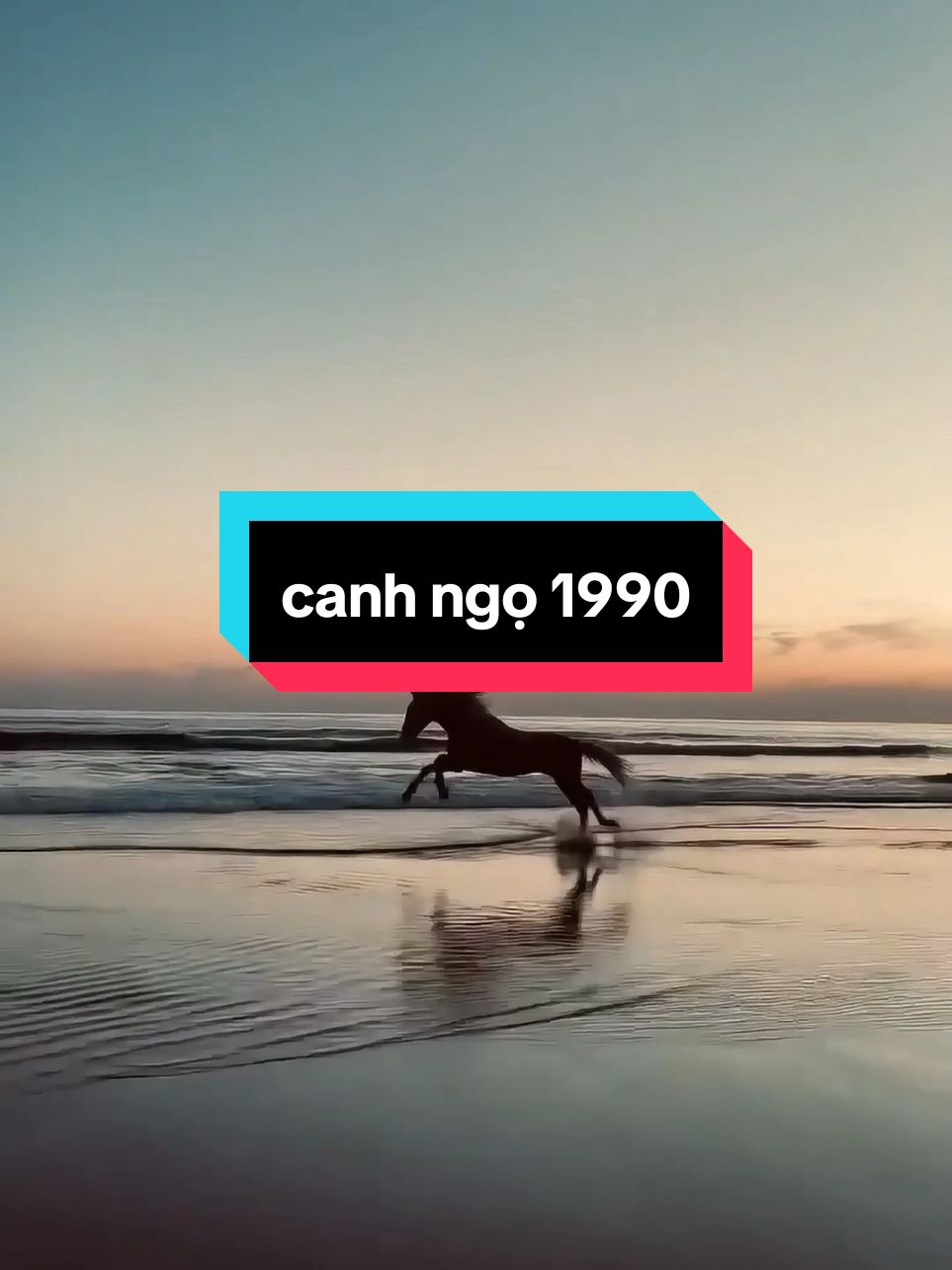 canh ngọ 1990 hãy mạnh mẽ lên nhé#anhthư #12congiap #canhngo1990 