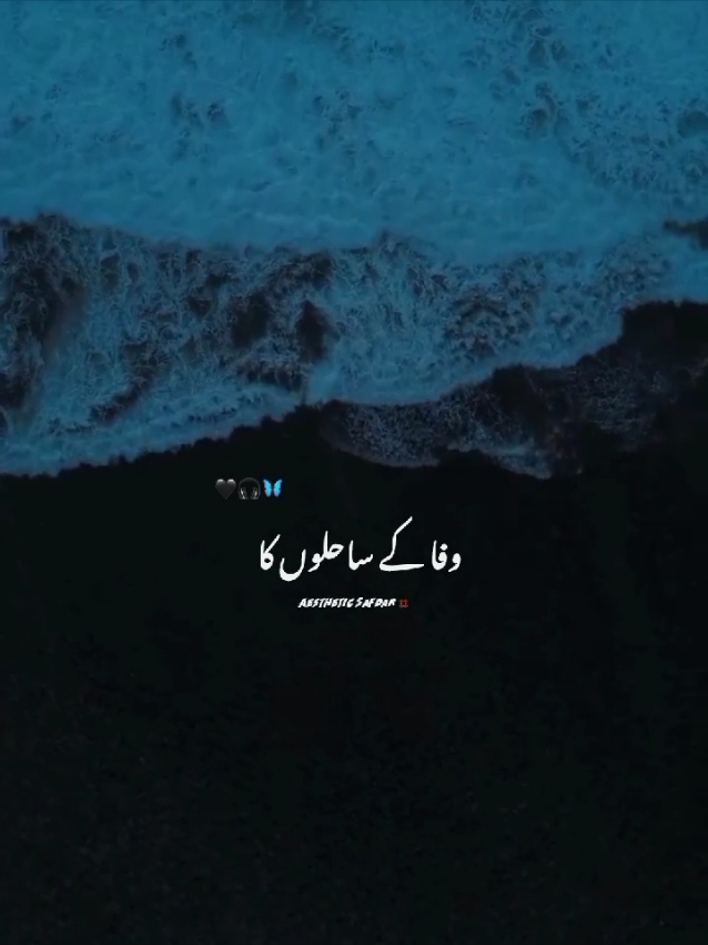 𝘾𝙖𝙥𝙩𝙞𝙤𝙣 🗣️🤍🩹 #100k #trending #aestheticsafdar #lofi #lyricsvideos #trendingsongs #sadvibs #foryoupage #foryou 