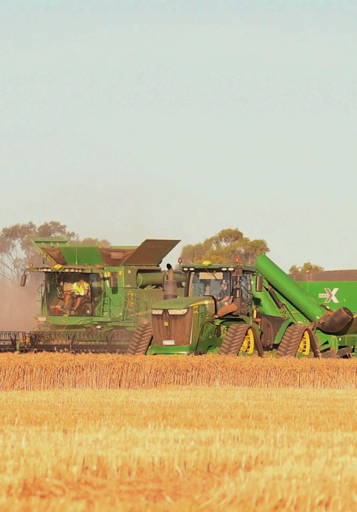 Little one for Christmas 🎄 #2024 #harvest #harvest24 #agriculture #agri #combine #combineharvester #johndeere #790 #9rx #fyp #britishfarming #australia #australian #Summer #CapCut #canola #barley #wheat #dji #countryside #chaserbin #broadacrebros #sunset #westernaustralia #christmas