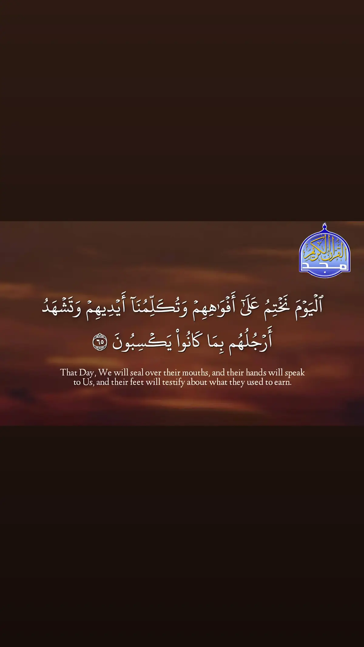 قناة المجد للقرآن الكريم قران يتلى اناء الليل واطراف النهار😌☝️#quran_alkarim #قران_كريم #TravelTikTok #قناة_المجد #اكسبلور_قران #تلاوة_خاشعة 