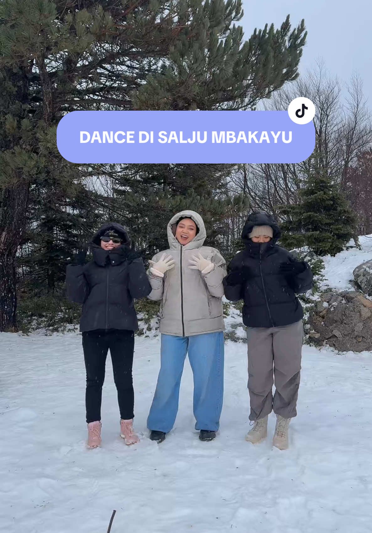 Akhirnya kesampean juga mbakayuu joget ng saljuuu☃️❄️  @Sirli Ulfa @Talulaaa  #fyp 