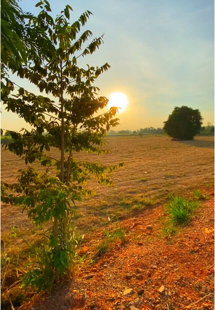 #ท้องฟ้า #วิวบ้านนอก🍃 #ธรรมชาติบําบัด #สตอรี่_ความรู้สึก😔🖤🥀 #typ #เธรด #ขึ้นฟีดเถอะ @TikTok 