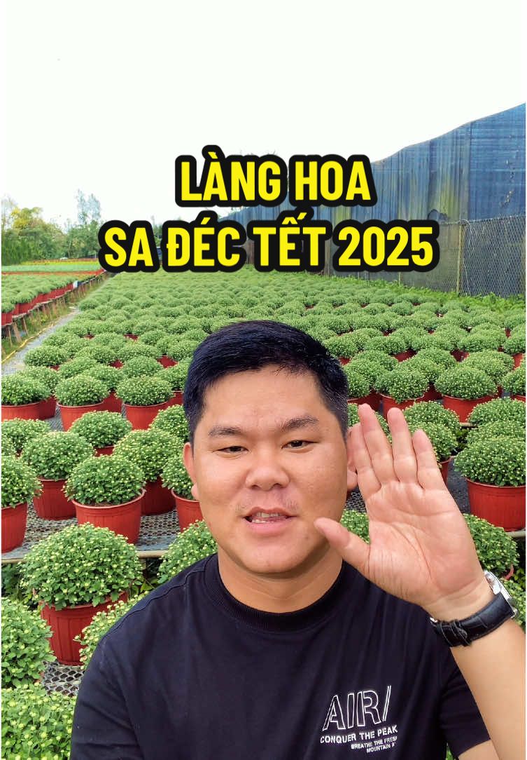 Làng Hoa Sa Đéc Tết 2025 #dongdoday #langhoasadec #hoa #dongthap #sadec #cantho 