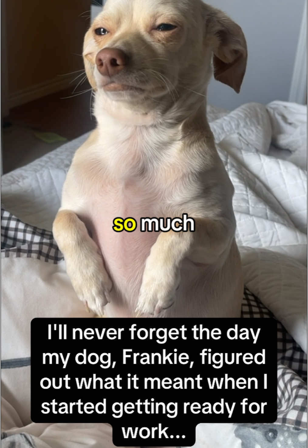 I’d be taking lots and lots of “sick” days for Frankie 🥺🥺 #RoadTo17Million #Pubity  (Riley Ortolf via ViralHog)