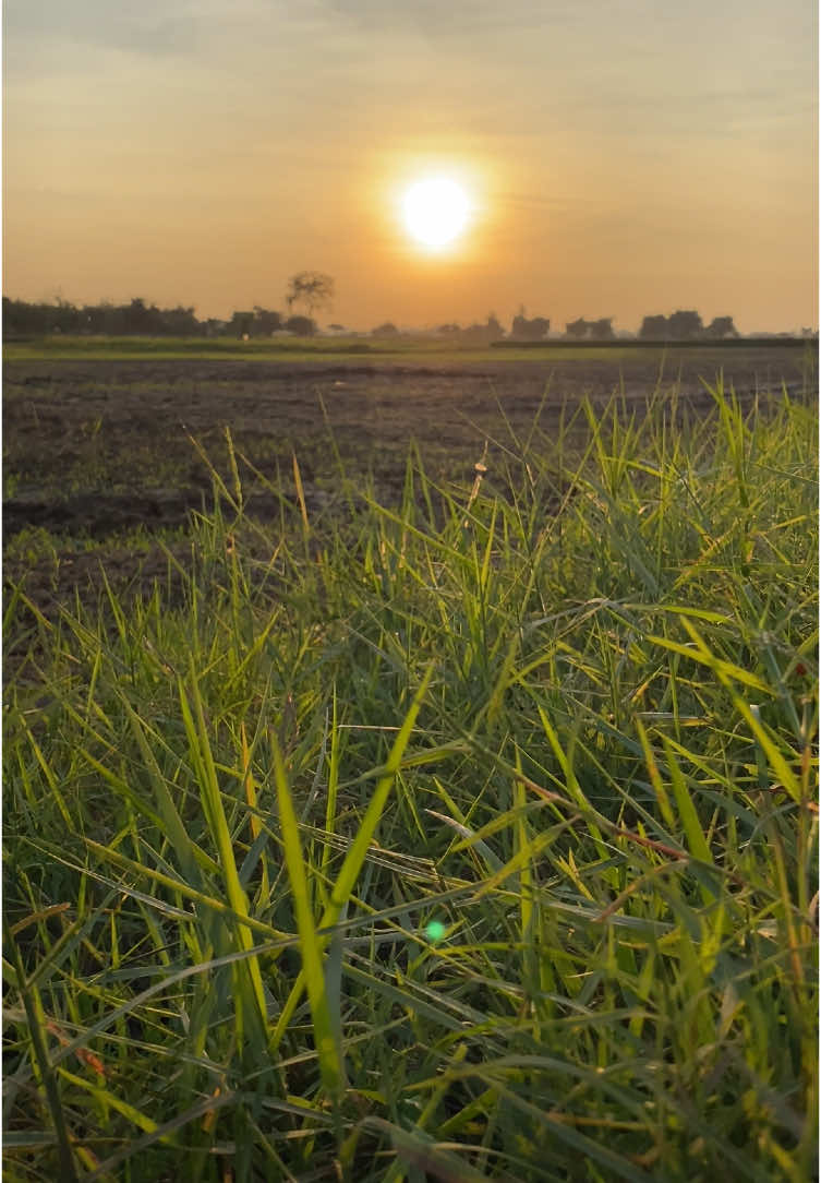 ชาติจั่งพ้อกันใหม่🙂#fyp #เทรดเพลง#ยืมลงสตอรี่ได้ #ธรรมชาติบําบัด🍃 #วิวบ้านนอก🍃 