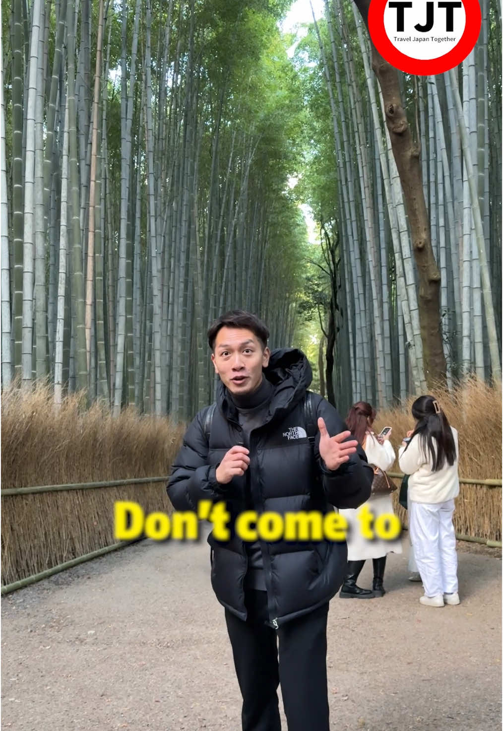 Two hidden bamboo forests in kyoto🎋 The bamboo grove in Arashiyama is undoubtedly beautiful, but it’s always crowded, making it nearly impossible to take a photo without people in the background, right? Instead, why not visit these two alternative bamboo groves in Kyoto? You’ll be able to enjoy a much quieter and more peaceful natural setting! Follow us for more Japan travel tips🇯🇵 @travel.japan_together  #japantravel #japantrip #kyoto #kyototravel #kyototrip #arashiyama #arashiyamabambooforest #bambooforest #bamboogrove #tourguideinjapan