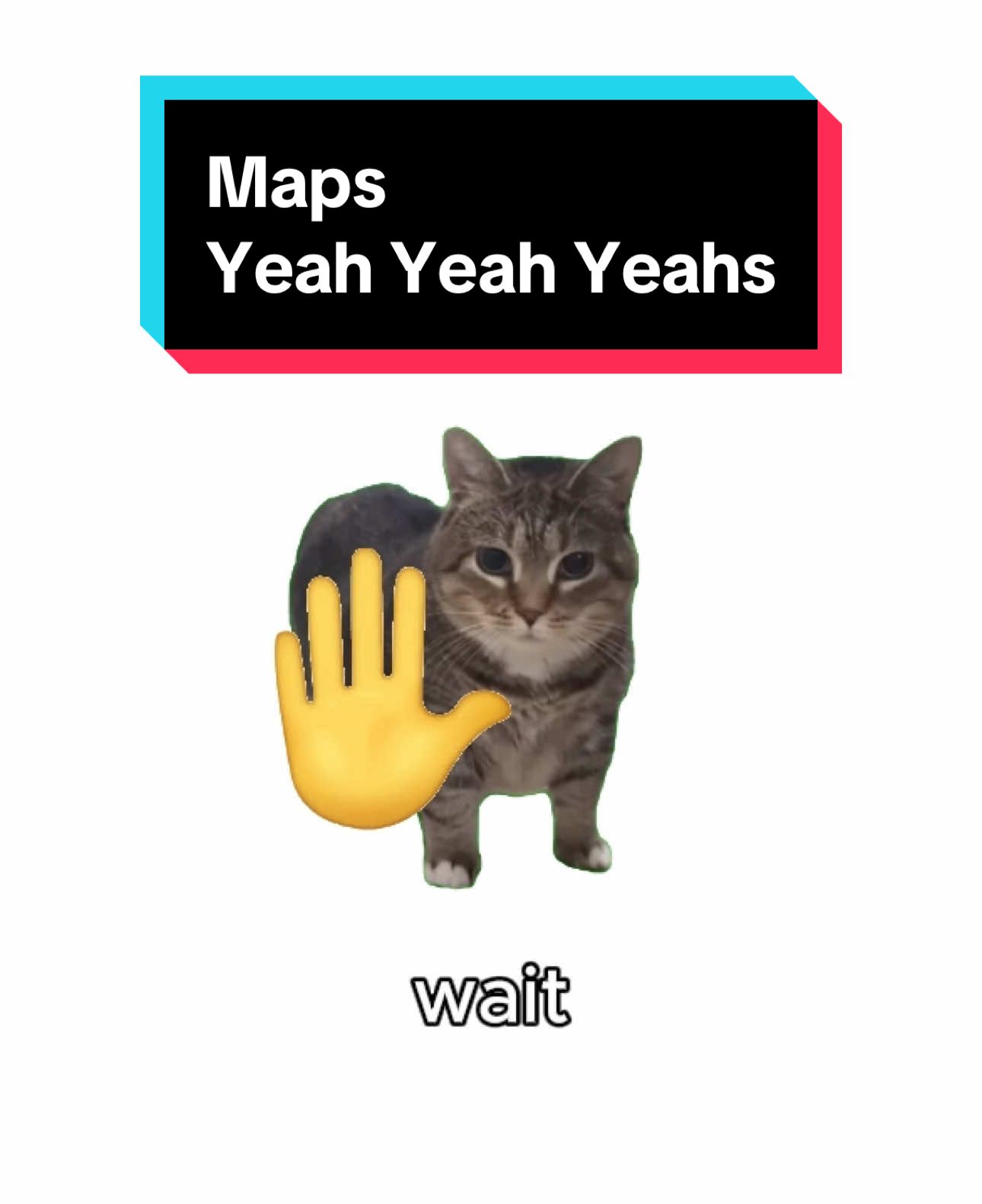 OIIA x Maps | Yeah Yeah Yeahs #oiiaiiooiiai #spinningcat #song #lyrics #uuiiaeoiiiuae #brainrot #theydontloveyoulikeiloveyou #reels #fyp #maps 