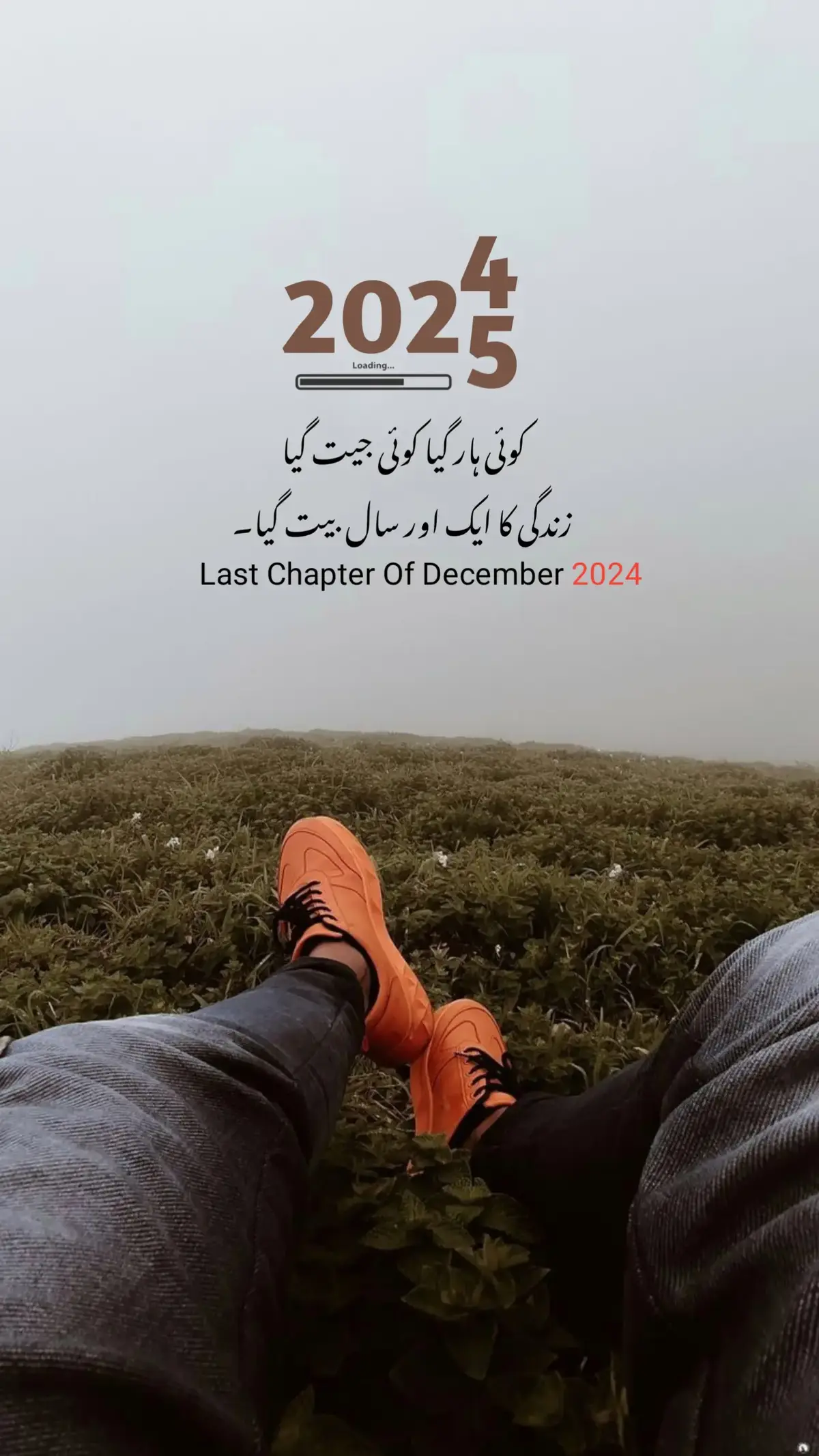 Last Chapter of 2024 🥺💔 #zouqeishqofficial #foryou #foryoupage #viral #fyp 