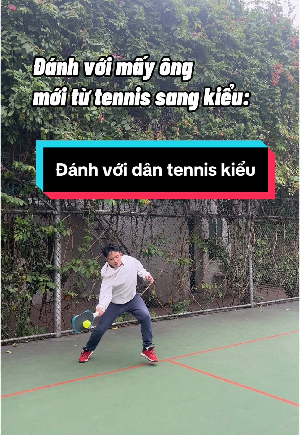 Mấy ông từ tennis sang chơi pickleball kiểu #rism #pickleball #sportsontiktok 