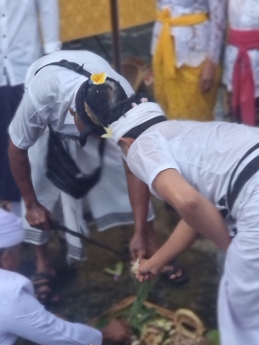 Buda umanis prangbakat ,piodalan ring merajan agung, Jro Krasan senapahan. 25.12.2024 rahayu