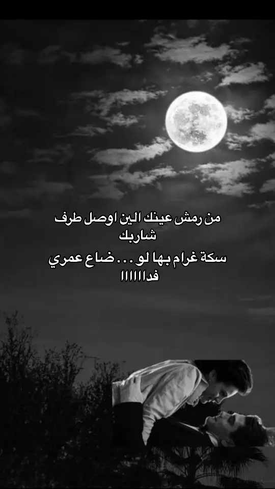 #قصايد_شعر #قصايد_شعر_خواطر_أكسبلوررر #قصيده_شعر_بوح_كلام_من_ذهب #خواطر_للعقول_الراقية #شعراء_وذواقين_الشعر_الشعبي #خواطر 