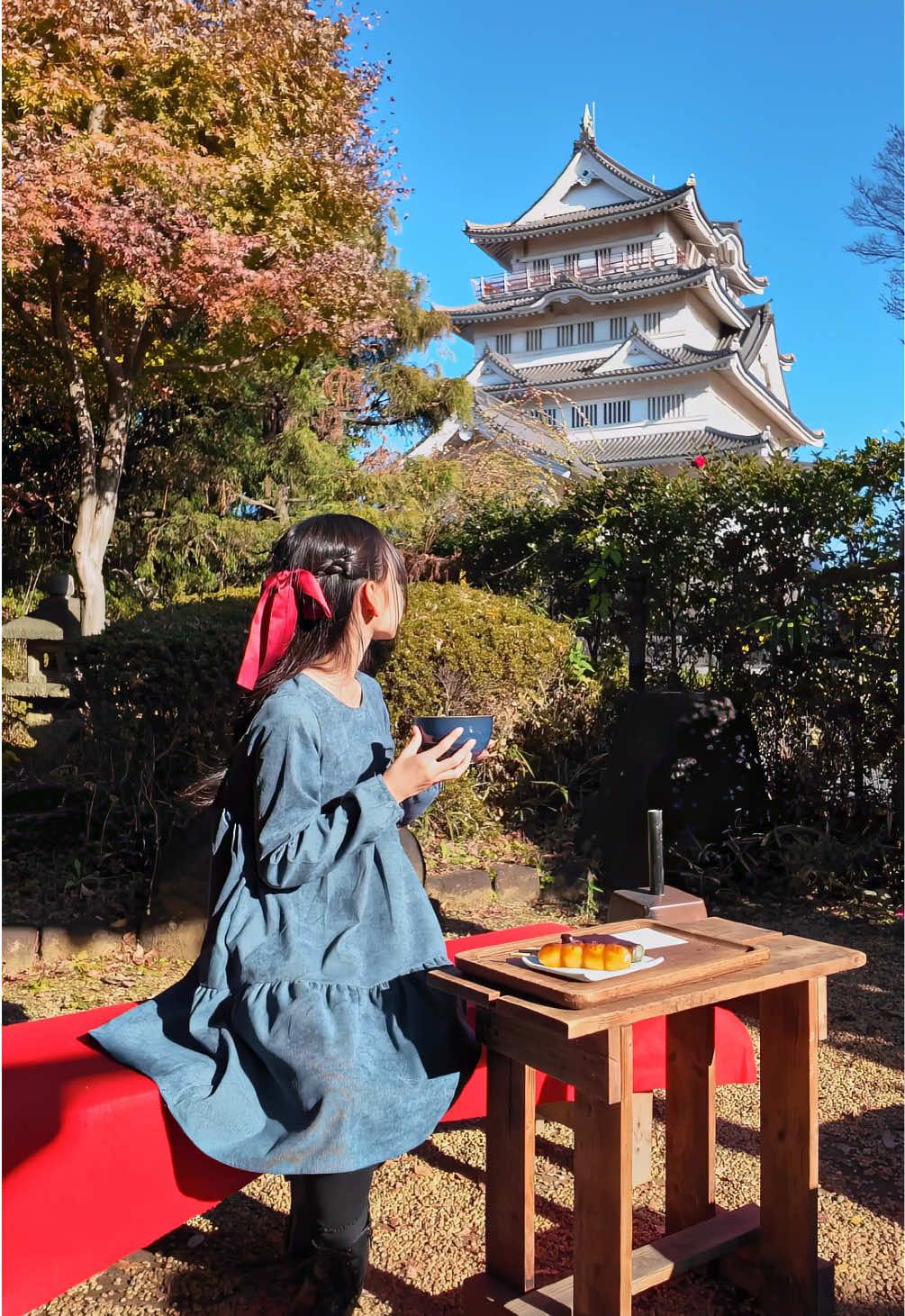 Osmo Pocket3で紅葉撮影してみたっ‼︎ スマホより小さい手のひらサイズなのに1インチセンサー👀 location 📍亥鼻城 🏯 📍いのはな亭 ⚙️ @DJI JAPAN @DJI Osmo  撮影のご依頼はプロフィールのUPL公式HPをチェック✅してください🙏 #OsmoPocket3 #DJI #カメラワーク