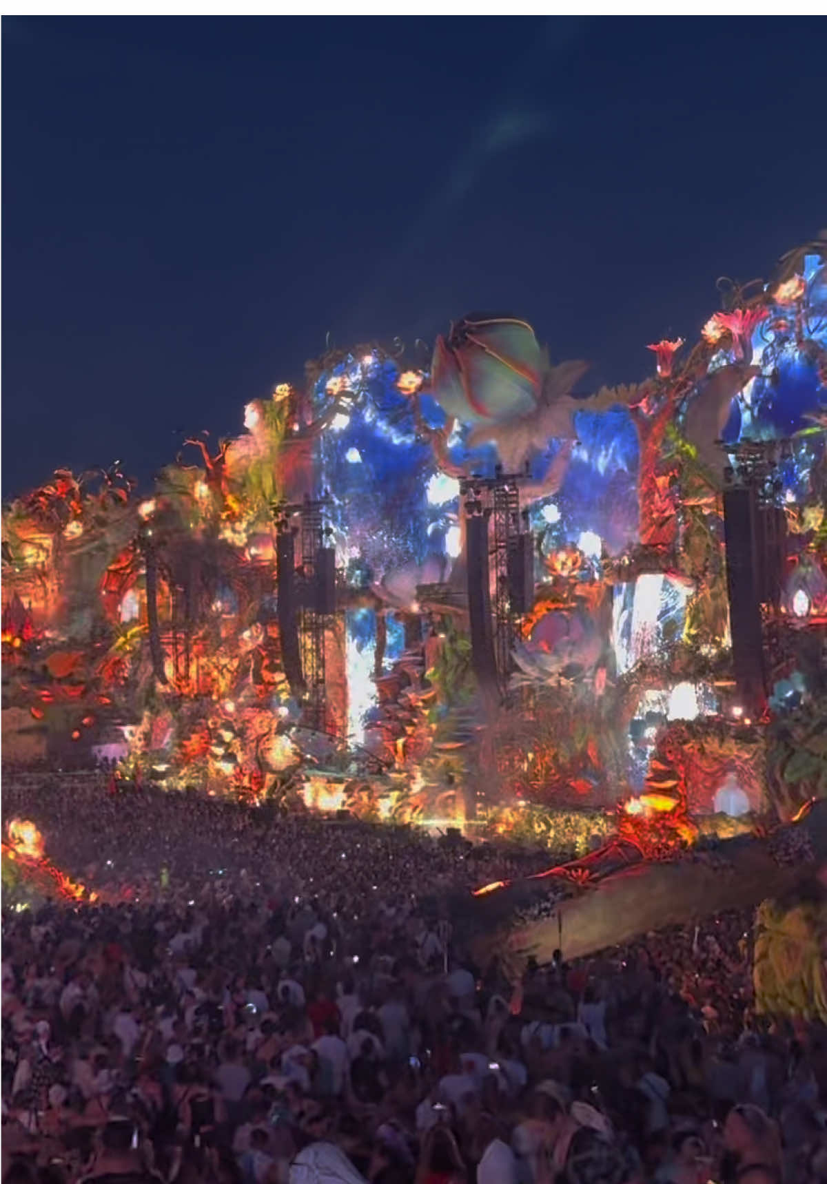 Celebrating life, love, and unity through music. #tomorrowland #electronicmusic #festival