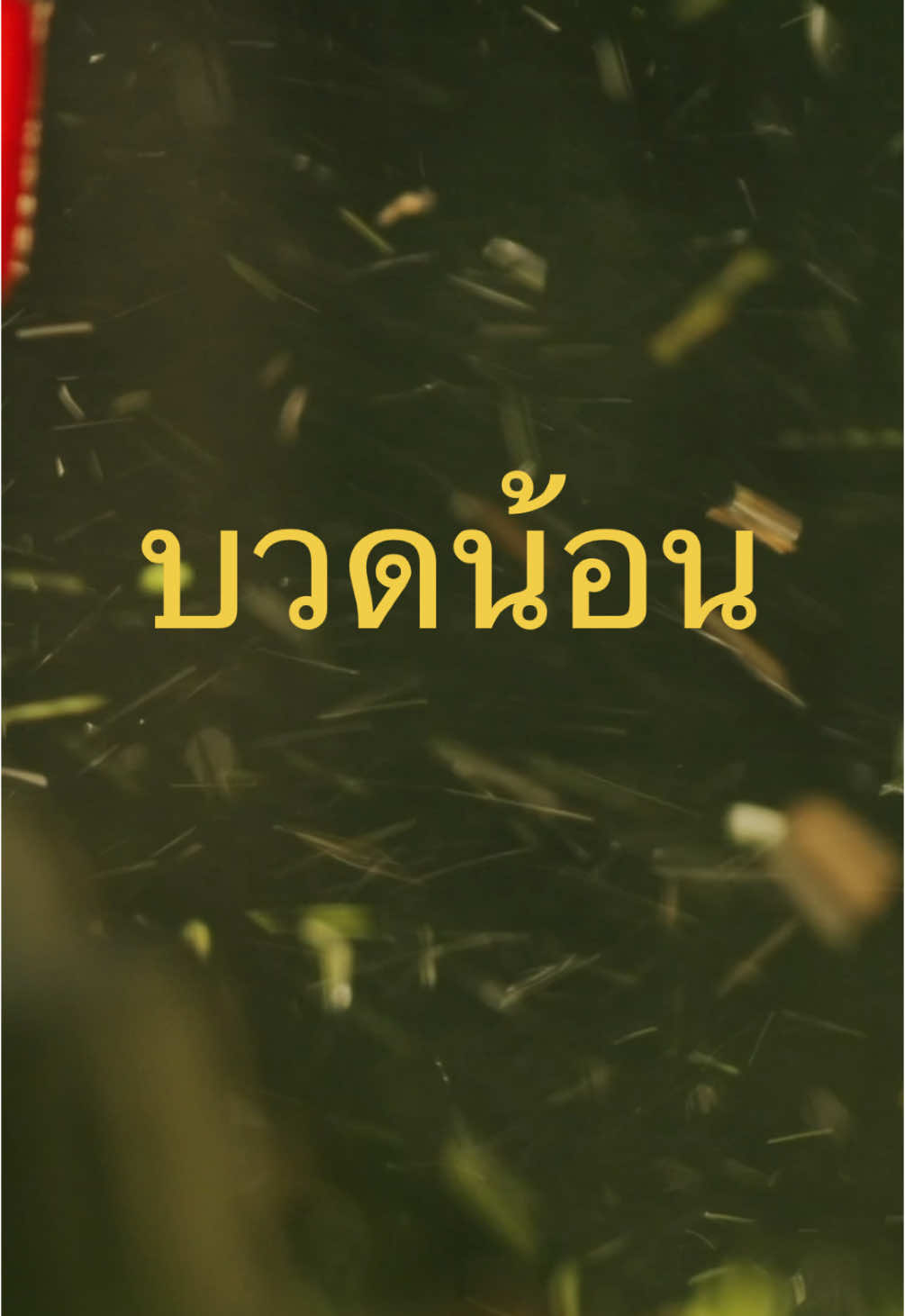 ฟังเพลง บวดน้อน ที่ช่องนมแนน บวดพร้อมกันทั่วประเทศ ขอให้มีความสุขส่งท้ายปีเก่าต้อนรับปีใหม่นี้นะคะ ❤️❤️ #บวดน้อน #ดูโอ้แม่ลูก #ครอบครัว #ครอบครัวหรรษา #ขึ้นฟีดเถอะ #อย่าปิดการมองเห็น #ฮาวทูtiktok @TikTok @TikTok Thailand 