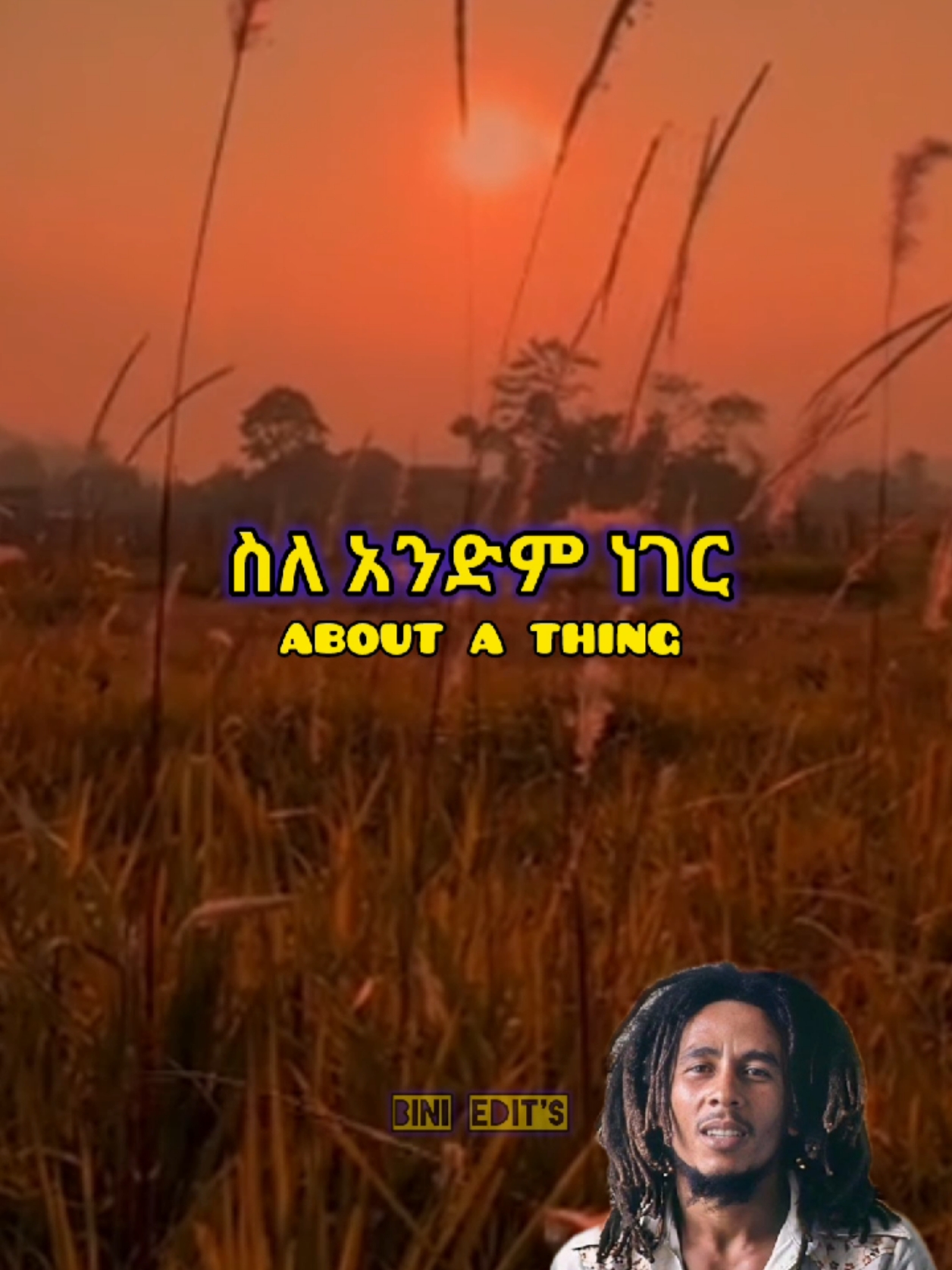 Don worry - Bob M. #ethiopian_tik_tok🇪🇹🇪🇹🇪🇹🇪🇹 #foryou #fyp #bobmarley 