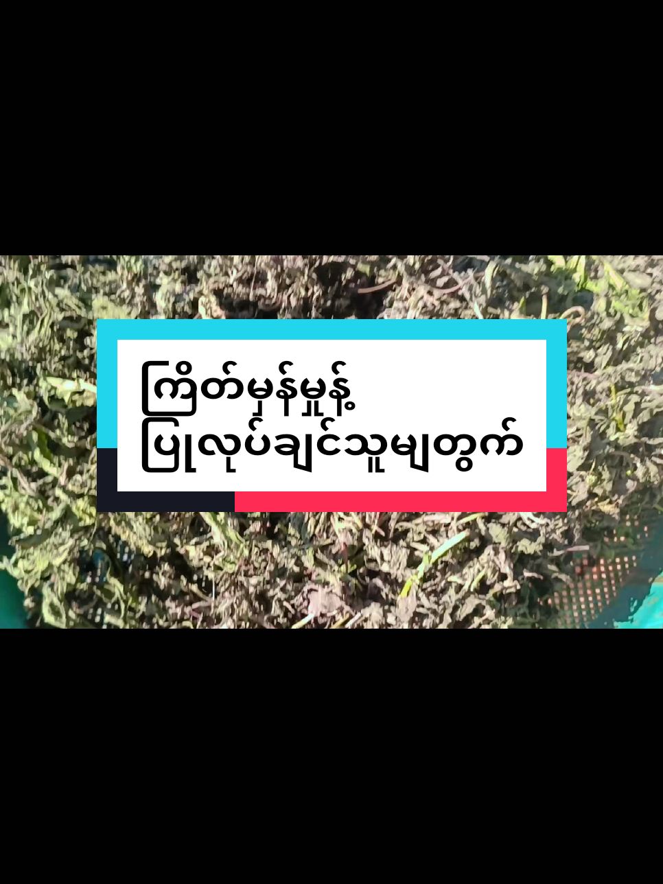 Replying to @user8418004756170 #mayကြိတ်မှန်မှုန့် #တွေးပြီးမှတင်ပါ #ရောက်ချင်တဲ့နေရာရောက်👌 #mayသဘာဝကြိတ်မှန်ဆီfounder #TikTokShop #titokmyanmar #thinkb4youdo #fyp #TikTokShop #tiktokuni 