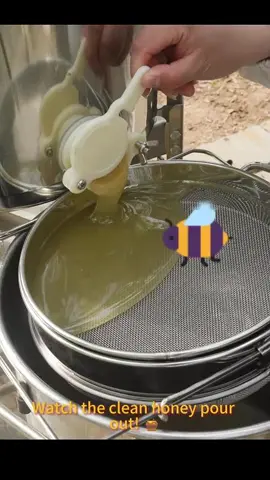 Filtering honey for a sweet Christmas! ⛄ 🎄🦌 🍯 🐝  #merrychristmas #christmashoney  #honeyfilter #purehoney #Honeyprocessing #beekeepingproduct #beekeepersoftiktok 