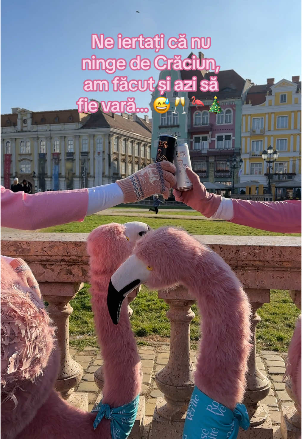 Am adus vara și iarna 😎🥂 #365deziledevara #LaVidaEnRose #flamingointurulromaniei #romania #roseverite #beciuldomnesc #craciunfericit #funny 