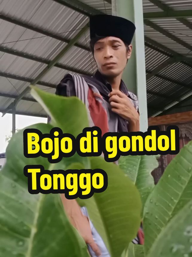 bojo di gondol tonggo#viraltiktok #komedi #humor 