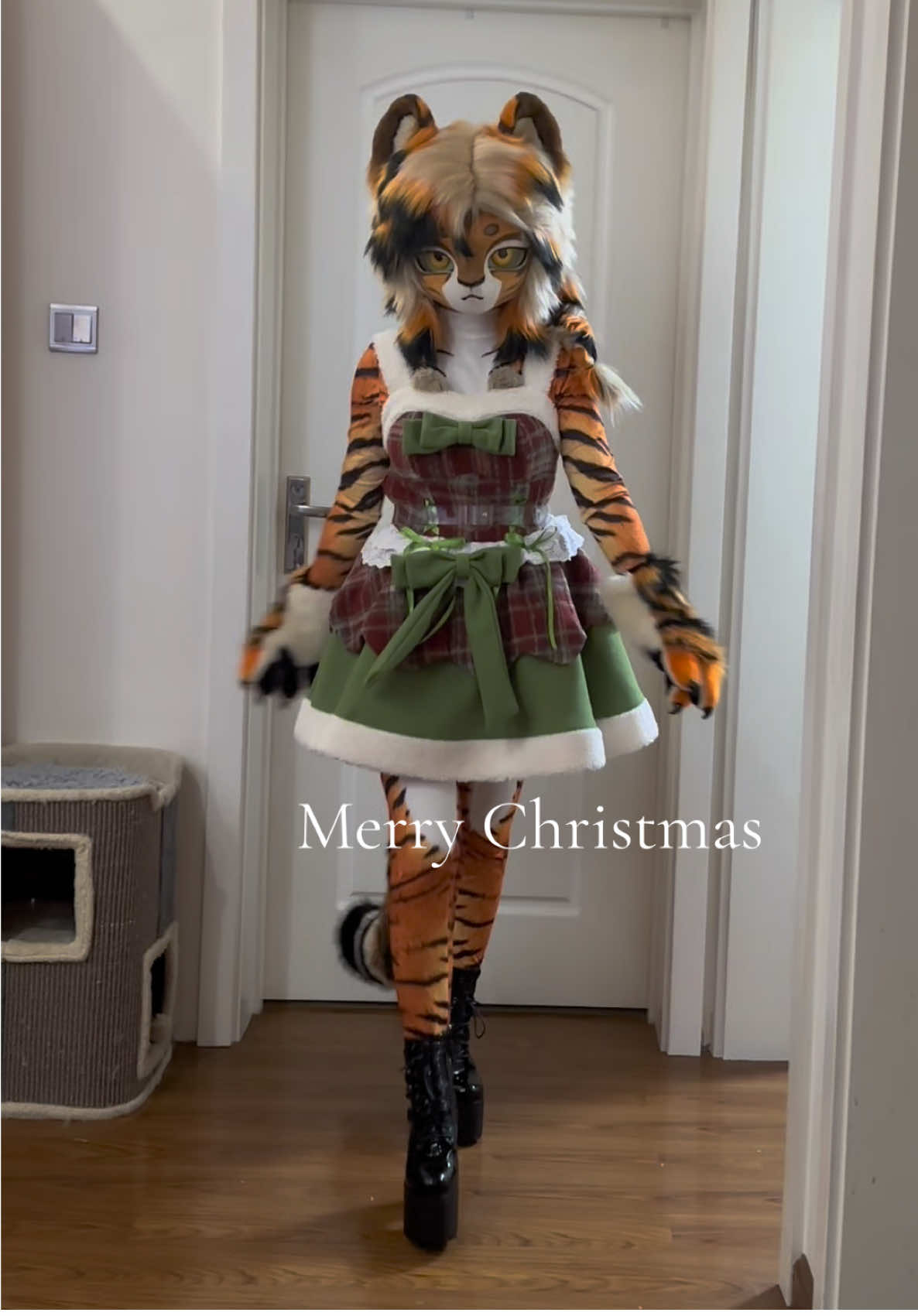 #fursuit #fursuitmaker #originate #furry #kigfursuit #kigfurry  Merry Christmas