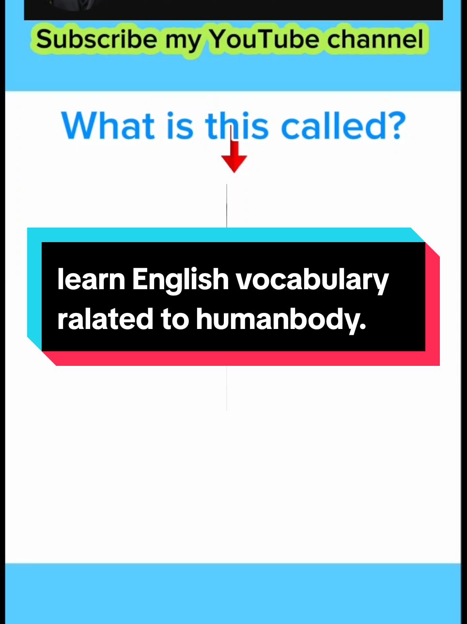 learn vocabulary ralated to humanbody.#learnenglish #vocabullary #learnenglishdaily 