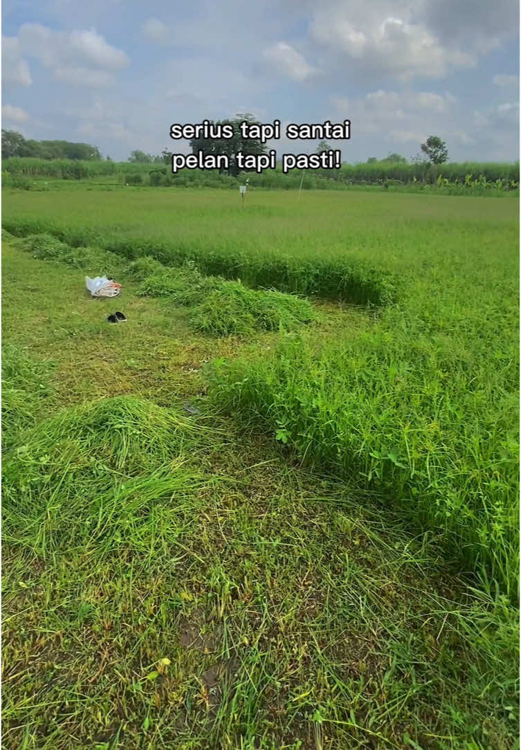 Bismillah ampun tumbang riyin🤲🏻#CapCut #fyp #sobatngaret #peternak #peternakdomba #peternakmuda #peternakindonesia #peternakansapi #peternakankambing #peternakandomba #deliwafastore #video #fypシ #viraltiktokz #rumput #domba #kambingetawa #kambingqurban #kambing #yogyakarta 