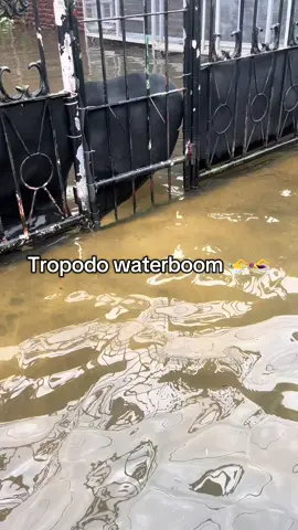 🏊‍♂️🏊‍♂️#banjir #sidoarjo #infosidoarjo #banjirtropodo 