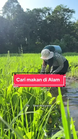 main ke pasar orang dayak di kampung ( cari keong genjer dan sayur liar lainnya) #carisayur #kampung #keong #genjer
