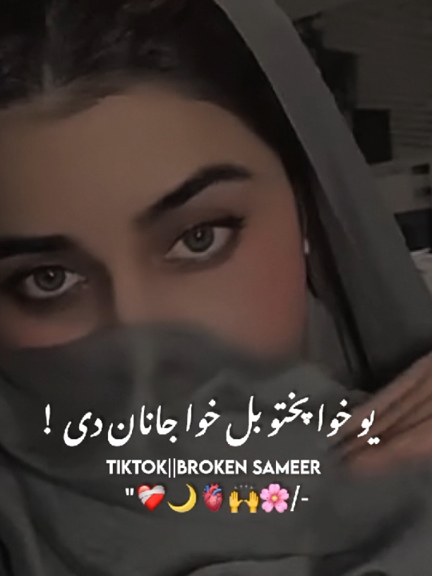 Pukhto Aw janaN ❤️🌸#foryou #foryoupage #viralvideo #sameer #pashtosong #unfreezmyaccounnt @🌸 𝗠 𝗢 𝗢 𝗡 🌸 @🍀HaMza_2🕊 