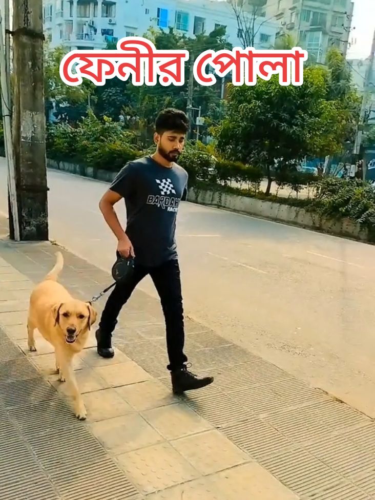 #ফেনীর_ছেলে #dog #dogsoftiktok 