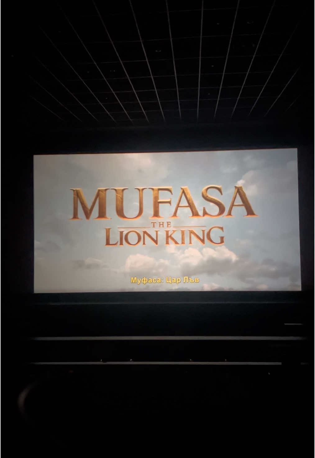 🦁 Mufasa - The Lion King 🔥 #mufasa #thelionking #lionking #simba #kiara #timonandpumba #bulgaria #cinema #popcorn #music #taka #scar #tiktokbulgaria #foryou #fyp 