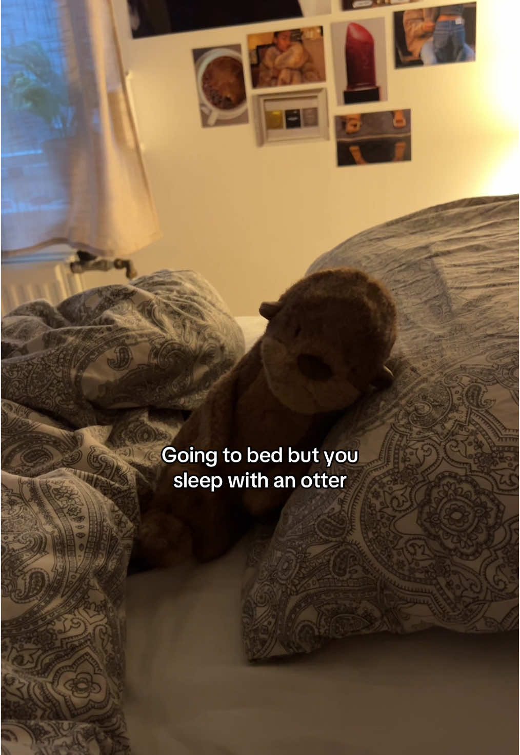 🦦 @Jellycat #otter #christmas #gift #night #jellycat #plushies #fyp #viral_video #bedroom #sleep 