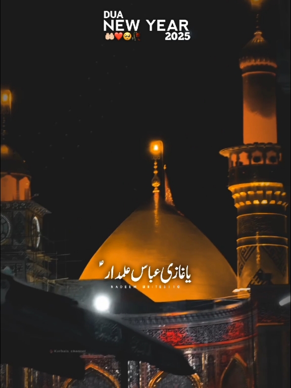 New Year 2025 ❤️🙏🏻 #nadeemwrites110 #shia #noha #karbala #status #foryoupage #trending #viralvideo 